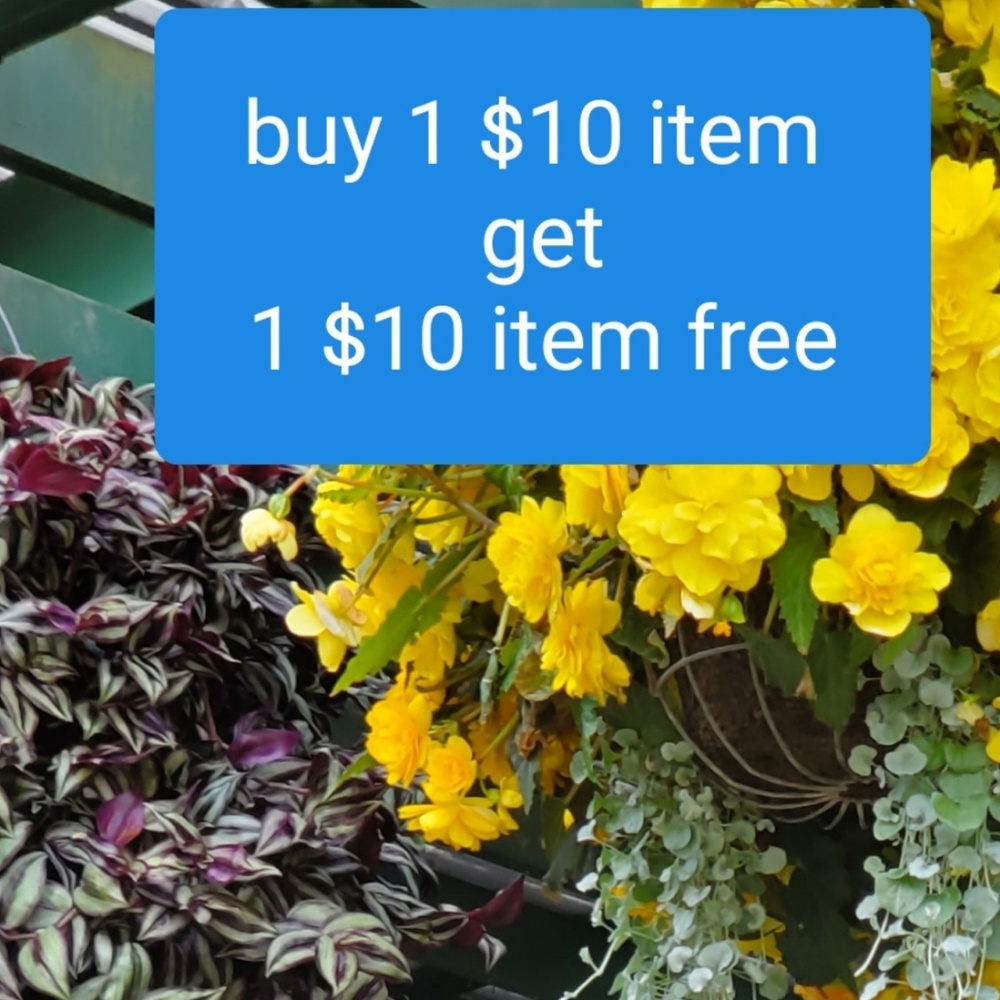 All $10 items
